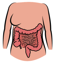 Симптомы дисбиоза кишечника