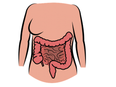 Симптомы дисбиоза кишечника
